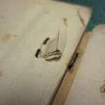 Staples in book